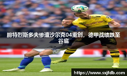 bsports官网入口