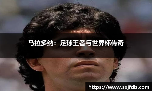 B体育官网