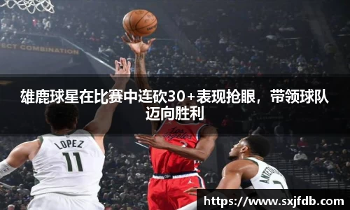 bsports官网入口