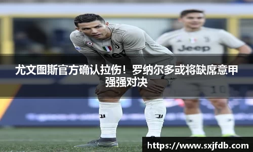 bsports官网入口